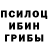 Галлюциногенные грибы Psilocybine cubensis Estelle Metz