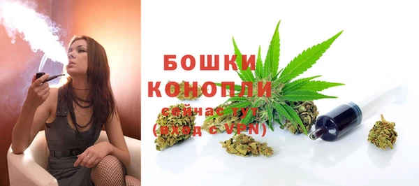 ПСИЛОЦИБИНОВЫЕ ГРИБЫ Баксан