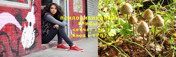 мяу мяу мука Арсеньев