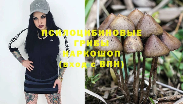 ПСИЛОЦИБИНОВЫЕ ГРИБЫ Баксан