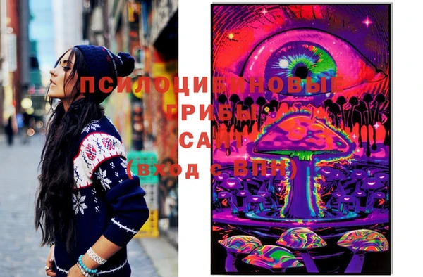 мяу мяу мука Арсеньев