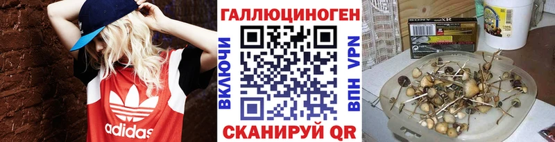 Псилоцибиновые грибы мухоморы Коломна