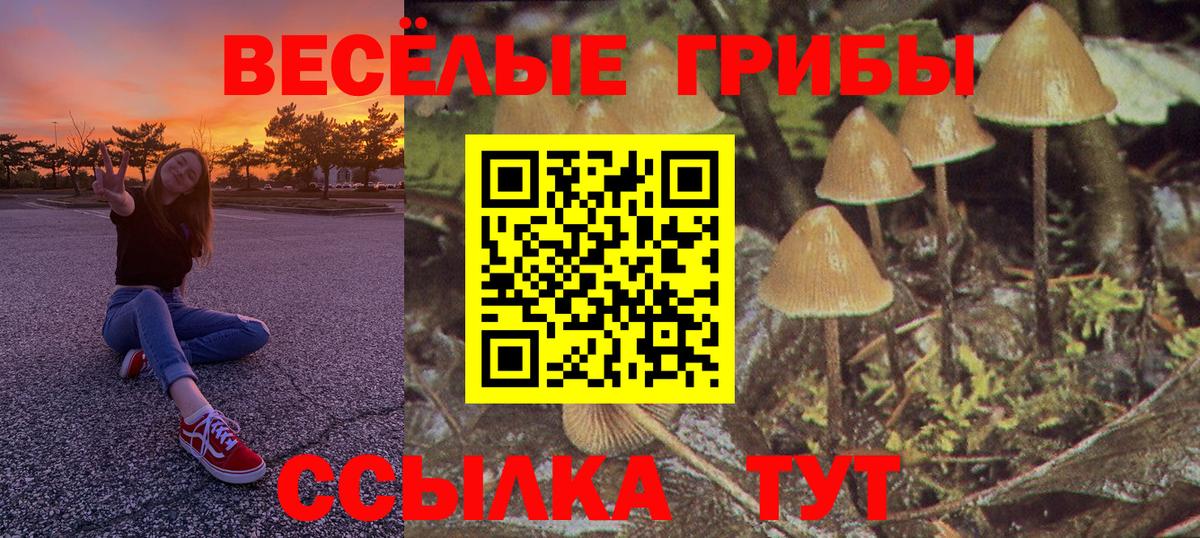 Галлюциногенные грибы ЛСД  Вход с VPN  Коломна 